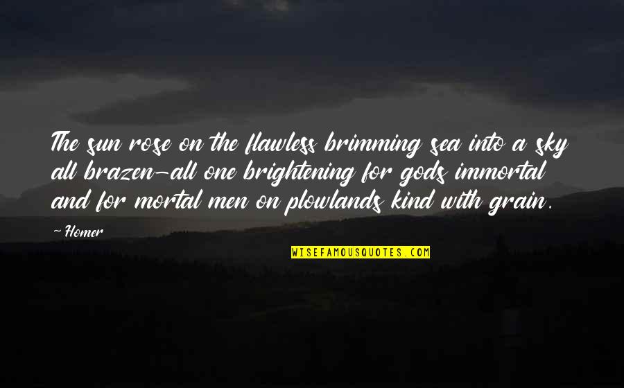 The Sea And Sky Quotes By Homer: The sun rose on the flawless brimming sea The Sea And Sky Quotes By Homer: The sun rose on the flawless brimming sea