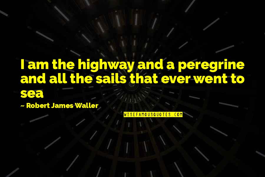 The Sea Quotes By Robert James Waller: I am the highway and a peregrine and