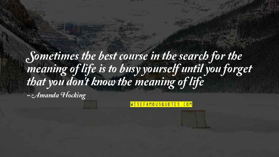 The Search For Meaning Quotes By Amanda Hocking: Sometimes the best course in the search for