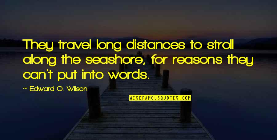 The Seashore Quotes By Edward O. Wilson: They travel long distances to stroll along the The Seashore Quotes By Edward O. Wilson: They travel long distances to stroll along the