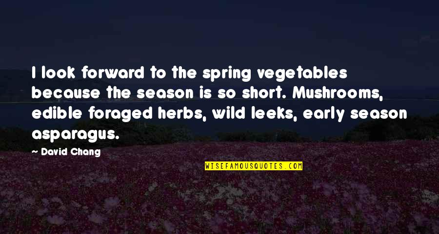 The Season Of Spring Quotes By David Chang: I look forward to the spring vegetables because The Season Of Spring Quotes By David Chang: I look forward to the spring vegetables because
