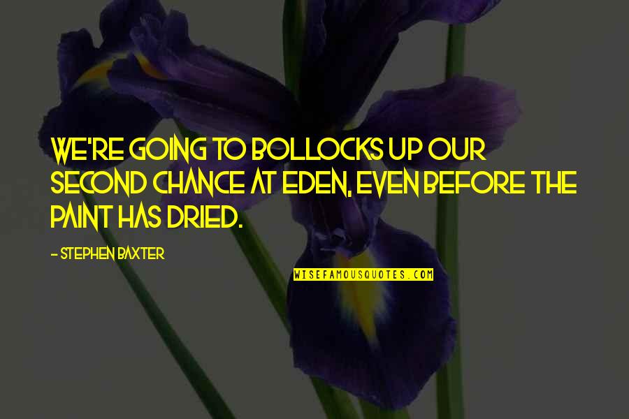 The Second Chance Quotes By Stephen Baxter: We're going to bollocks up our second chance The Second Chance Quotes By Stephen Baxter: We're going to bollocks up our second chance