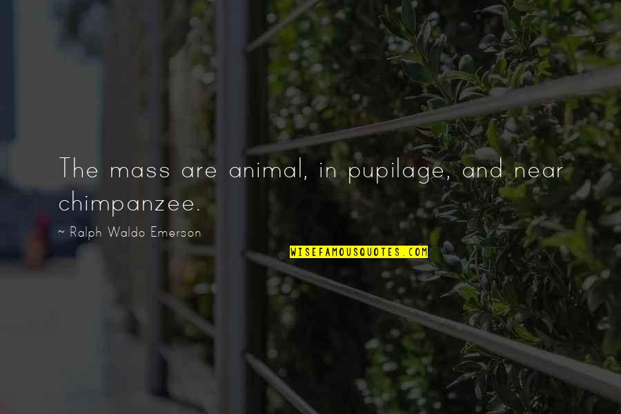 The Second Vatican Council Quotes By Ralph Waldo Emerson: The mass are animal, in pupilage, and near
