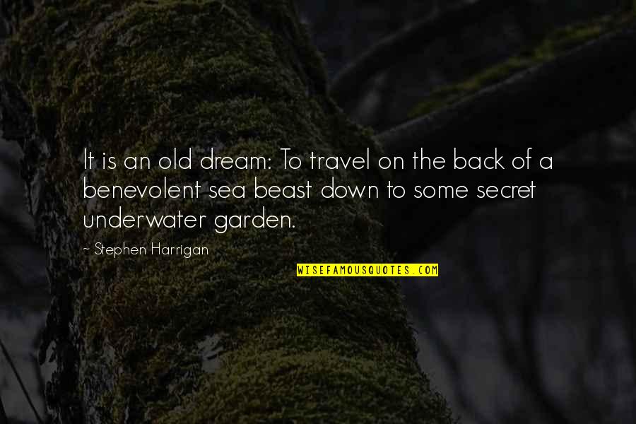 The Secret Garden Quotes By Stephen Harrigan: It is an old dream: To travel on