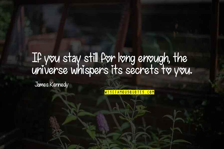 The Secrets Of The Universe Quotes By James Kennedy: If you stay still for long enough, the