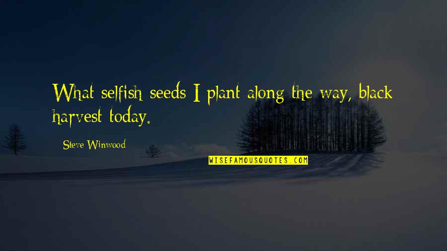 The Seeds You Plant Today Quotes By Steve Winwood: What selfish seeds I plant along the way, The Seeds You Plant Today Quotes By Steve Winwood: What selfish seeds I plant along the way,