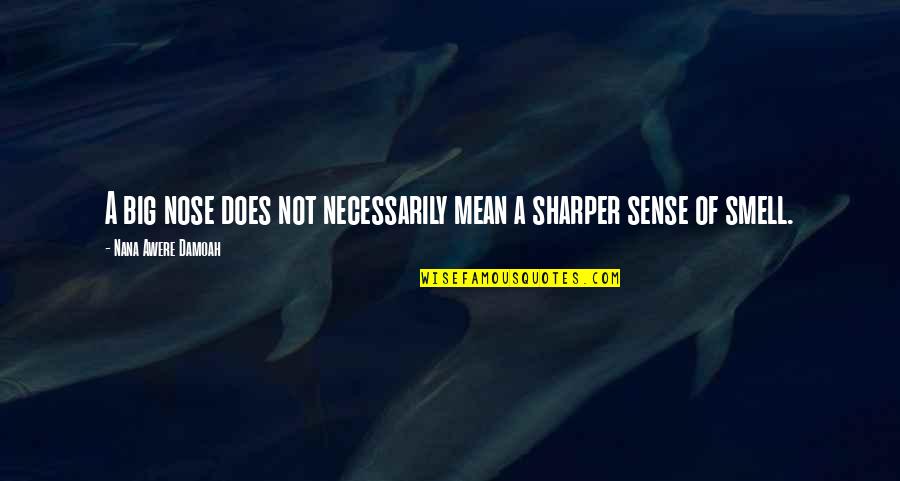 The Sense Of Smell Quotes By Nana Awere Damoah: A big nose does not necessarily mean a The Sense Of Smell Quotes By Nana Awere Damoah: A big nose does not necessarily mean a