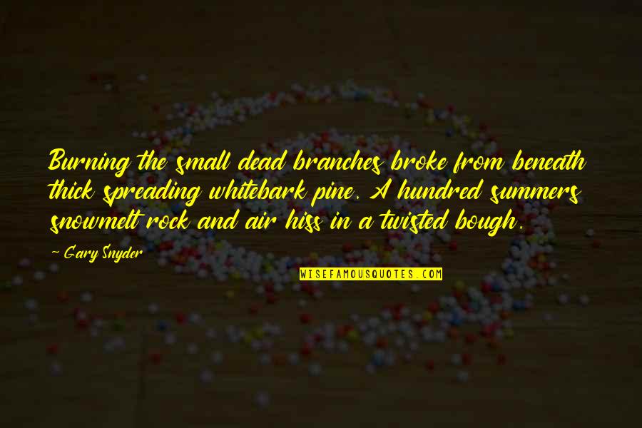 The Seventh Tower Quotes By Gary Snyder: Burning the small dead branches broke from beneath The Seventh Tower Quotes By Gary Snyder: Burning the small dead branches broke from beneath