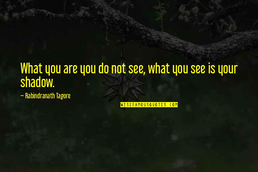 The Shadow Self Quotes By Rabindranath Tagore: What you are you do not see, what