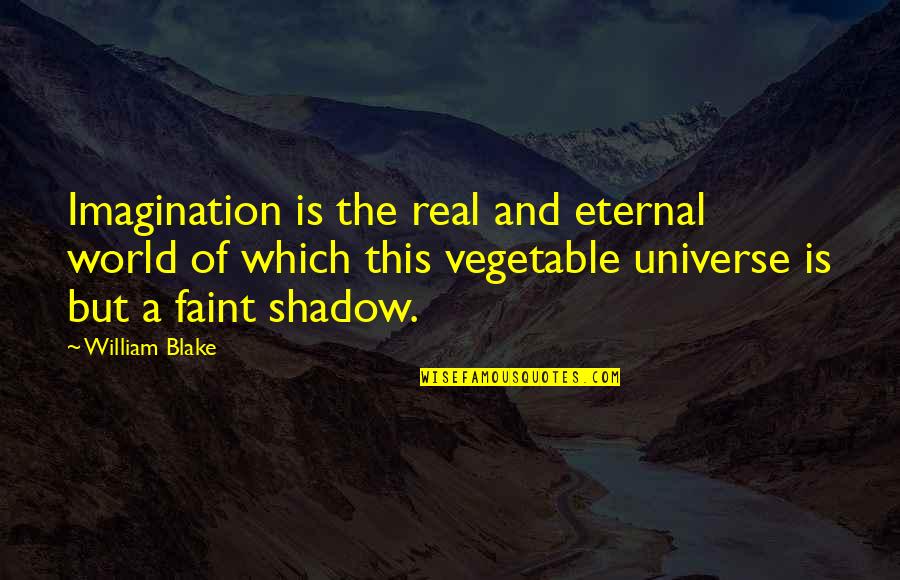 The Shadow World Quotes By William Blake: Imagination is the real and eternal world of The Shadow World Quotes By William Blake: Imagination is the real and eternal world of