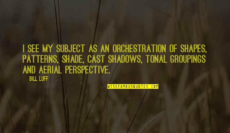 The Shadow You Cast Quotes By Bill Luff: I see my subject as an orchestration of The Shadow You Cast Quotes By Bill Luff: I see my subject as an orchestration of