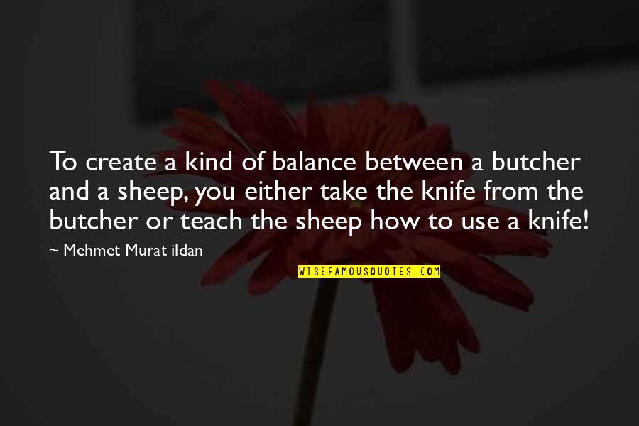 The Sheep Quotes By Mehmet Murat Ildan: To create a kind of balance between a