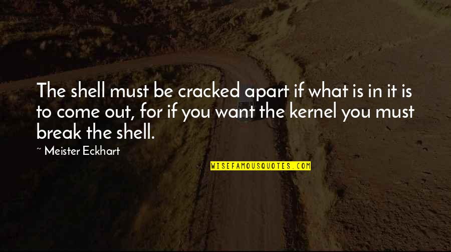 The Shells Quotes By Meister Eckhart: The shell must be cracked apart if what