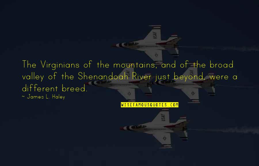 The Shenandoah Quotes By James L. Haley: The Virginians of the mountains, and of the