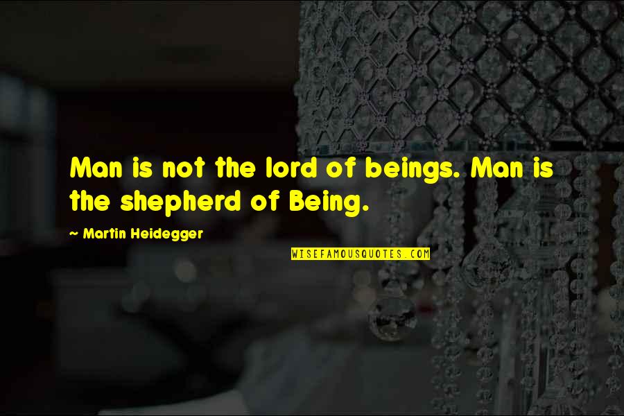 The Shepherd Quotes By Martin Heidegger: Man is not the lord of beings. Man The Shepherd Quotes By Martin Heidegger: Man is not the lord of beings. Man