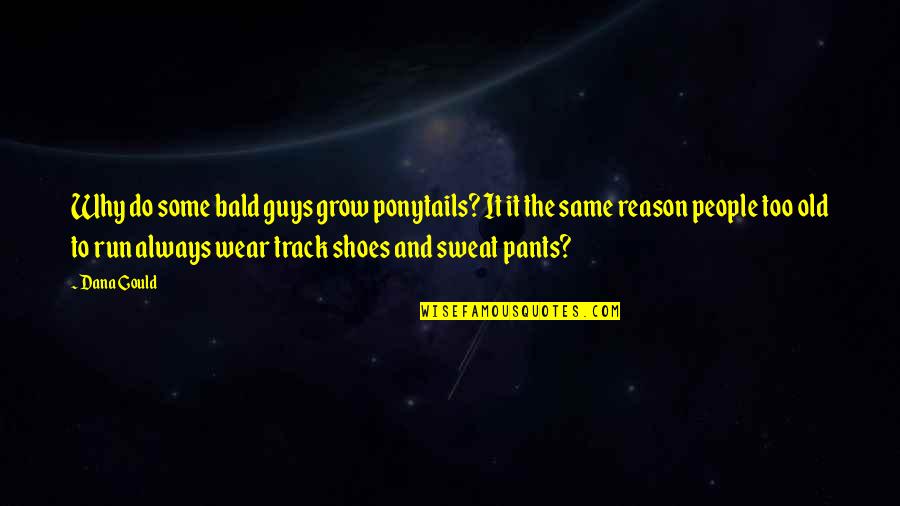 The Shoes You Wear Quotes By Dana Gould: Why do some bald guys grow ponytails? It