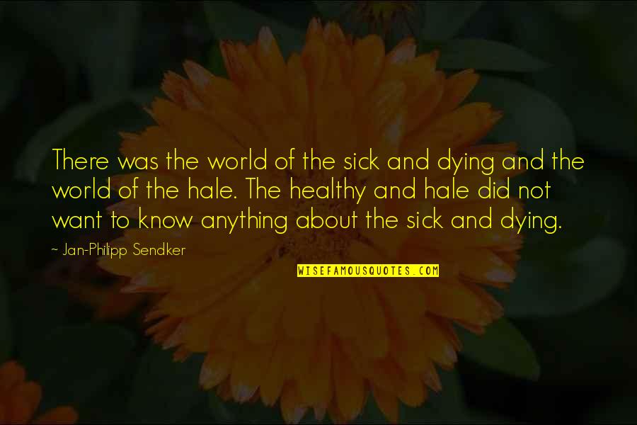 The Sick World Quotes By Jan-Philipp Sendker: There was the world of the sick and