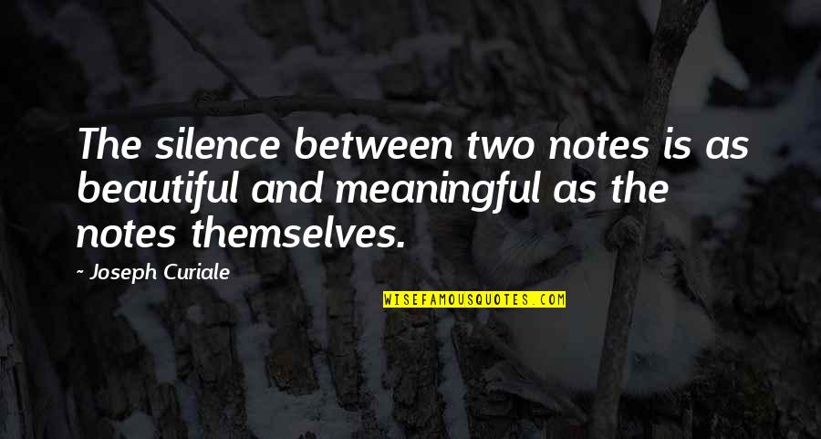 The Silence Between Us Quotes By Joseph Curiale: The silence between two notes is as beautiful