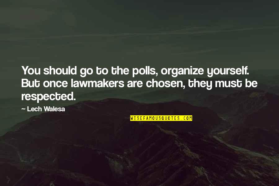 The Silent Flute Quotes By Lech Walesa: You should go to the polls, organize yourself.