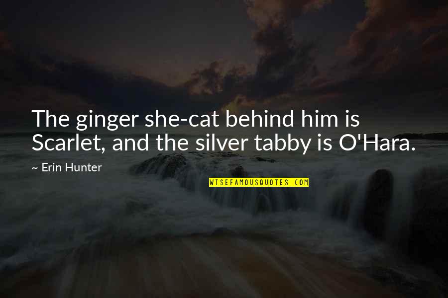 The Silver Quotes By Erin Hunter: The ginger she-cat behind him is Scarlet, and