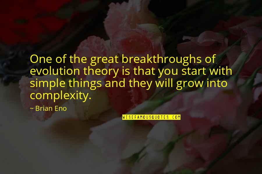 The Simple Things Quotes By Brian Eno: One of the great breakthroughs of evolution theory