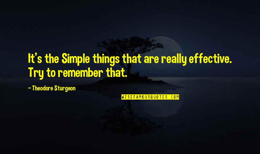 The Simple Things Quotes By Theodore Sturgeon: It's the Simple things that are really effective.