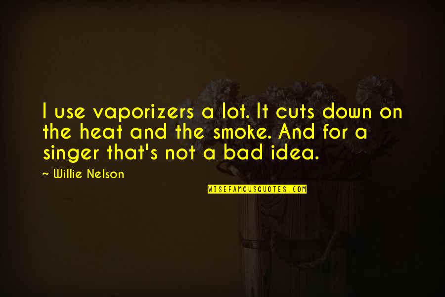 The Singer Quotes By Willie Nelson: I use vaporizers a lot. It cuts down