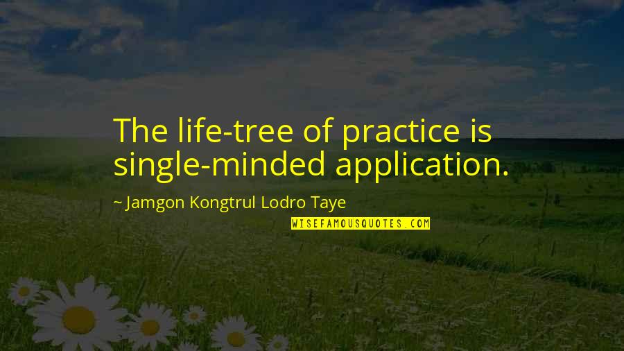 The Single Quotes By Jamgon Kongtrul Lodro Taye: The life-tree of practice is single-minded application.