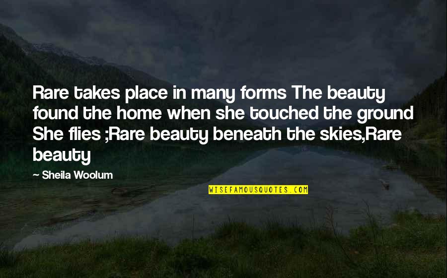 The Skies Quotes By Sheila Woolum: Rare takes place in many forms The beauty