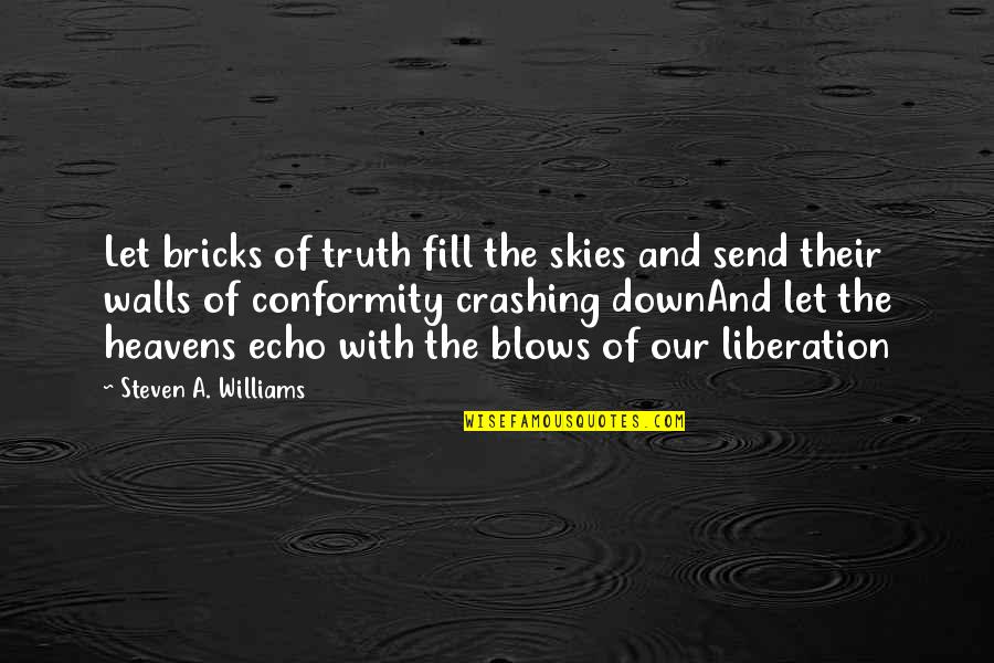 The Skies Quotes By Steven A. Williams: Let bricks of truth fill the skies and The Skies Quotes By Steven A. Williams: Let bricks of truth fill the skies and
