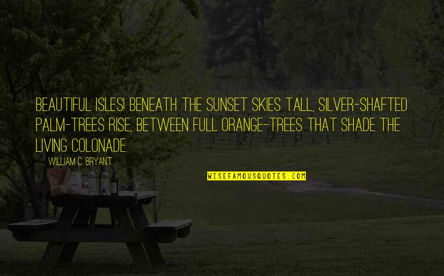 The Skies Quotes By William C. Bryant: Beautiful isles! beneath the sunset skies tall, silver-shafted The Skies Quotes By William C. Bryant: Beautiful isles! beneath the sunset skies tall, silver-shafted
