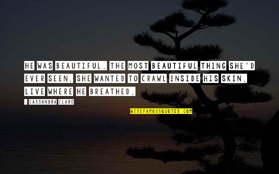 The Skin I Live In Quotes By Cassandra Clare: He was beautiful. The most beautiful thing she'd The Skin I Live In Quotes By Cassandra Clare: He was beautiful. The most beautiful thing she'd