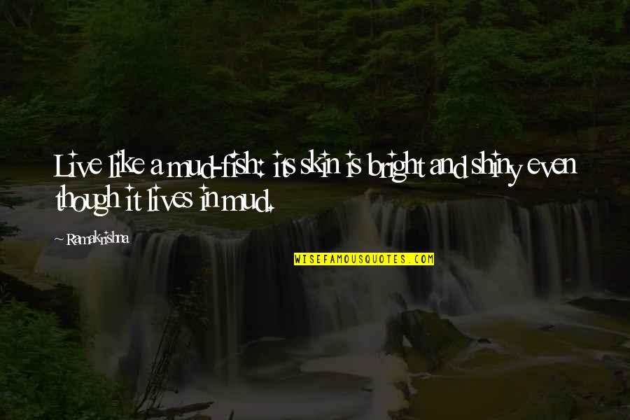 The Skin I Live In Quotes By Ramakrishna: Live like a mud-fish: its skin is bright