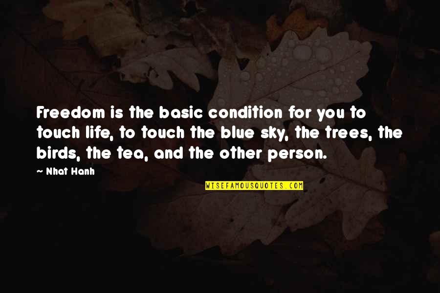 The Sky And Life Quotes By Nhat Hanh: Freedom is the basic condition for you to The Sky And Life Quotes By Nhat Hanh: Freedom is the basic condition for you to
