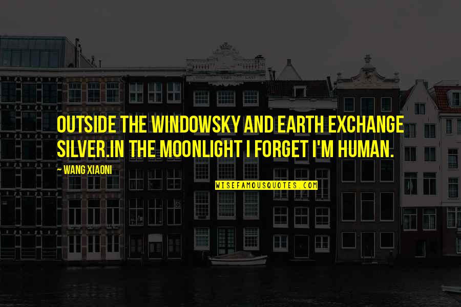The Sky And Moon Quotes By Wang Xiaoni: Outside the windowSky and earth exchange silver.In the