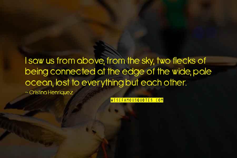 The Sky And Ocean Quotes By Cristina Henriquez: I saw us from above, from the sky, The Sky And Ocean Quotes By Cristina Henriquez: I saw us from above, from the sky,