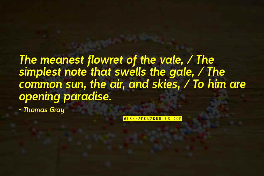 The Sky And Sun Quotes By Thomas Gray: The meanest flowret of the vale, / The