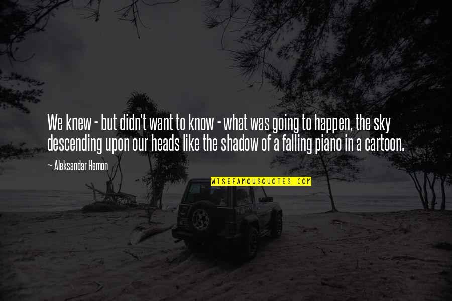 The Sky Falling Quotes By Aleksandar Hemon: We knew - but didn't want to know The Sky Falling Quotes By Aleksandar Hemon: We knew - but didn't want to know
