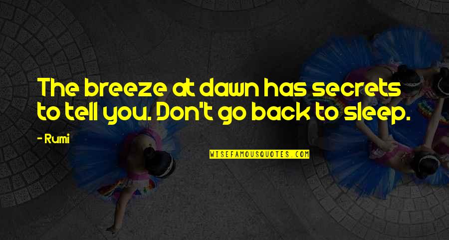 The Sleep Quotes By Rumi: The breeze at dawn has secrets to tell