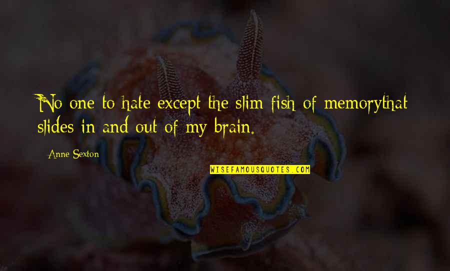 The Slim Quotes By Anne Sexton: No one to hate except the slim fish