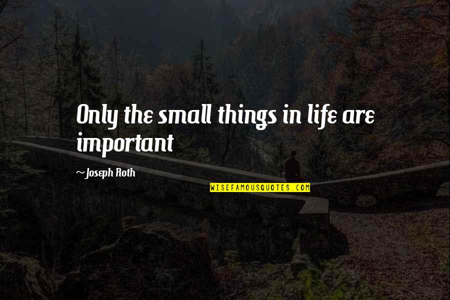 The Small Things In Life Quotes By Joseph Roth: Only the small things in life are important