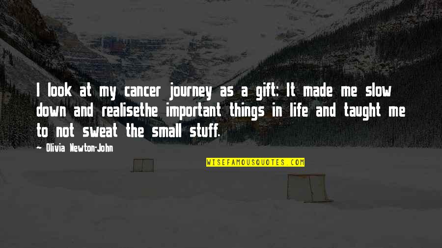 The Small Things In Life Quotes By Olivia Newton-John: I look at my cancer journey as a