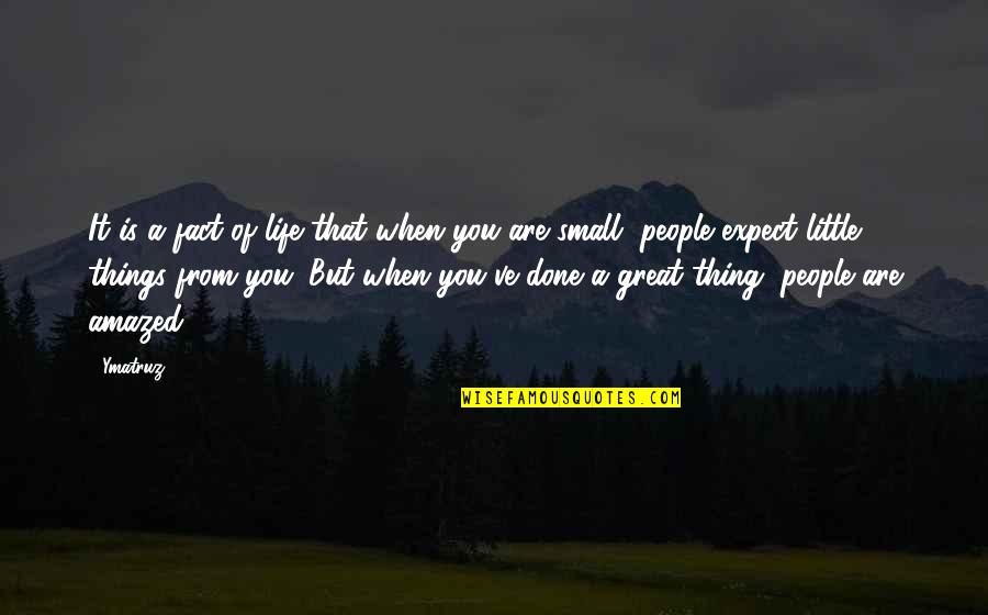 The Small Things In Life Quotes By Ymatruz: It is a fact of life that when