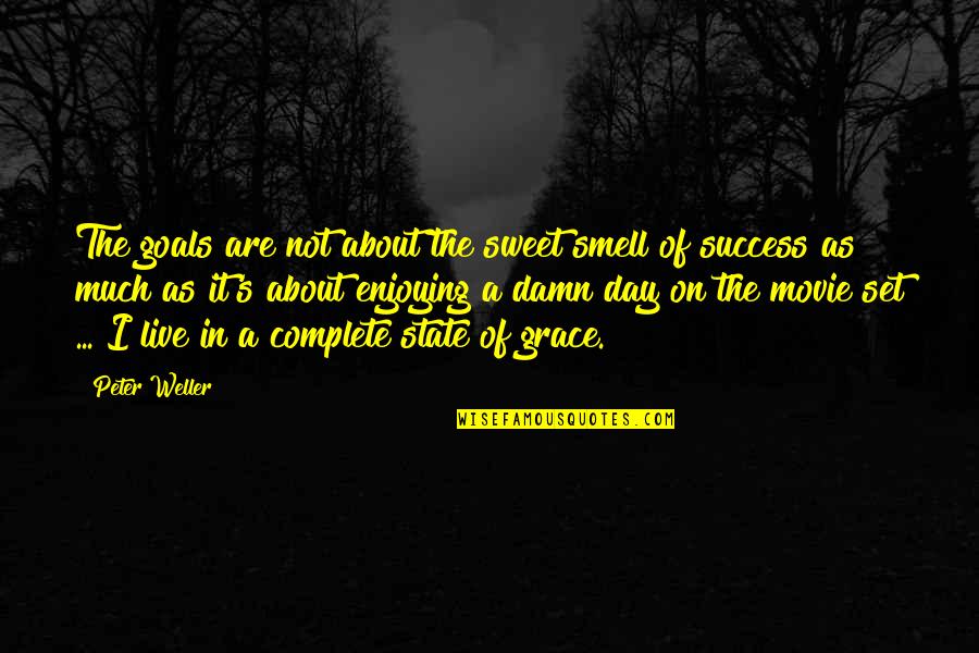 The Smell Of Success Quotes By Peter Weller: The goals are not about the sweet smell