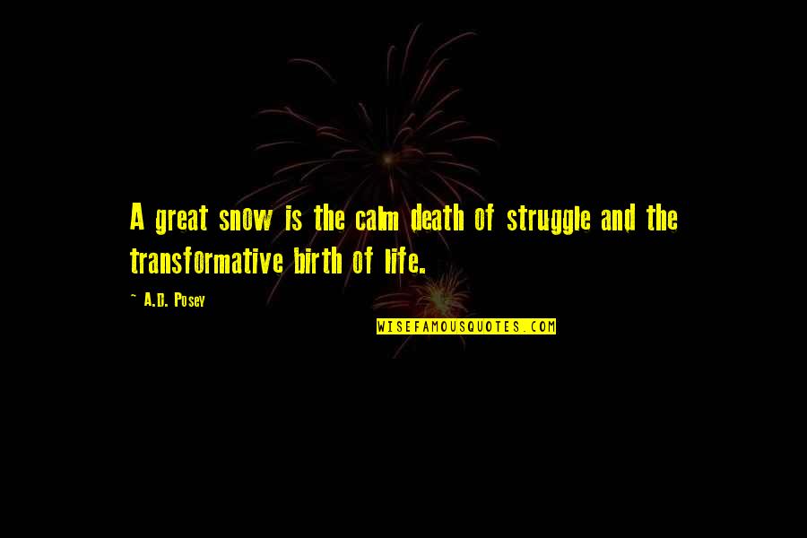 The Snow And Life Quotes By A.D. Posey: A great snow is the calm death of