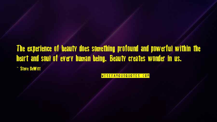 The Soul And Beauty Quotes By Steve DeWitt: The experience of beauty does something profound and