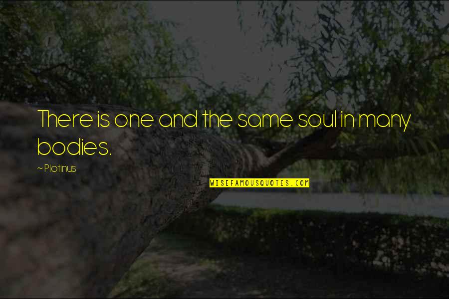 The Soul And Body Quotes By Plotinus: There is one and the same soul in