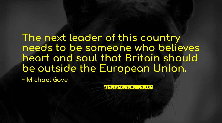The Soul And Heart Quotes By Michael Gove: The next leader of this country needs to