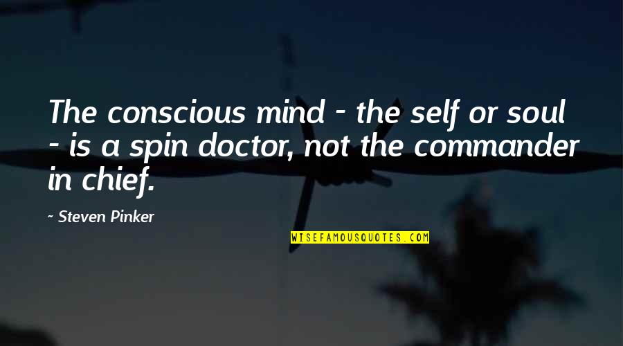 The Soul Doctor Quotes By Steven Pinker: The conscious mind - the self or soul