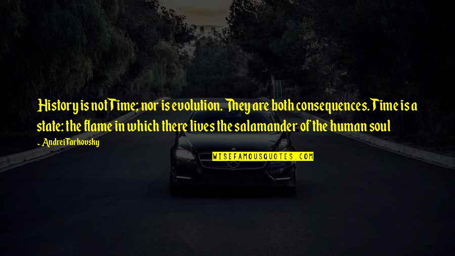 The Soul Of Time Quotes By Andrei Tarkovsky: History is not Time; nor is evolution. They The Soul Of Time Quotes By Andrei Tarkovsky: History is not Time; nor is evolution. They